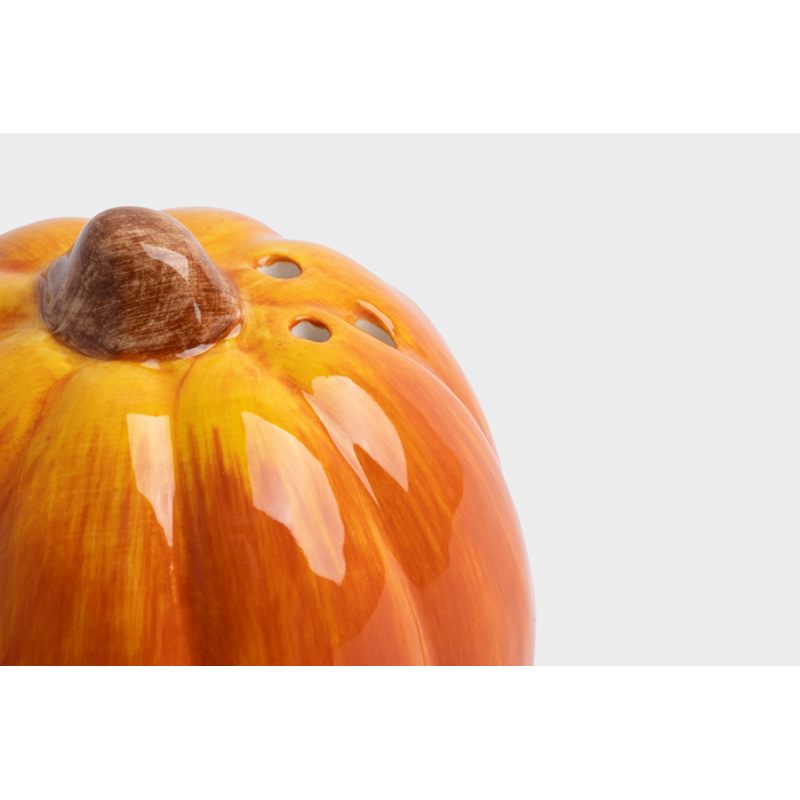 Емкость для специй "Bright pumpkin Тыковка" в подарочной упаковке