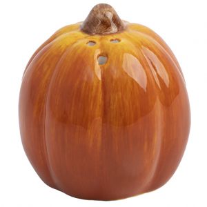 Емкость для специй "Bright pumpkin Тыковка" в подарочной упаковке