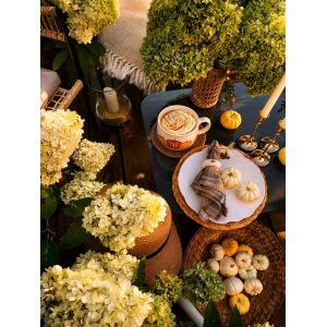 Столовая тарелка тыква "Harvest Collection Тыква" 27 см